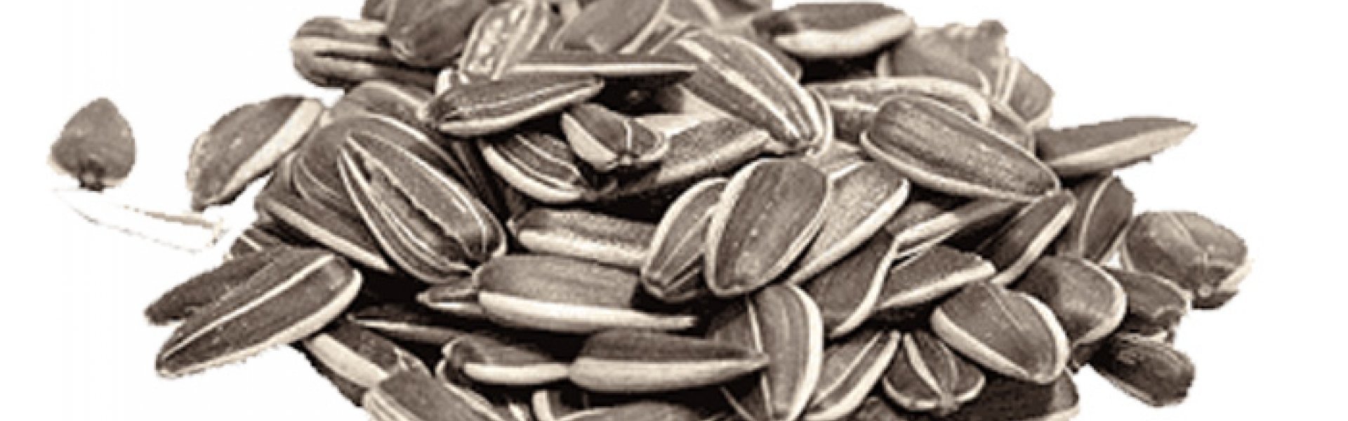 Sunflower Seeds (White – Black)