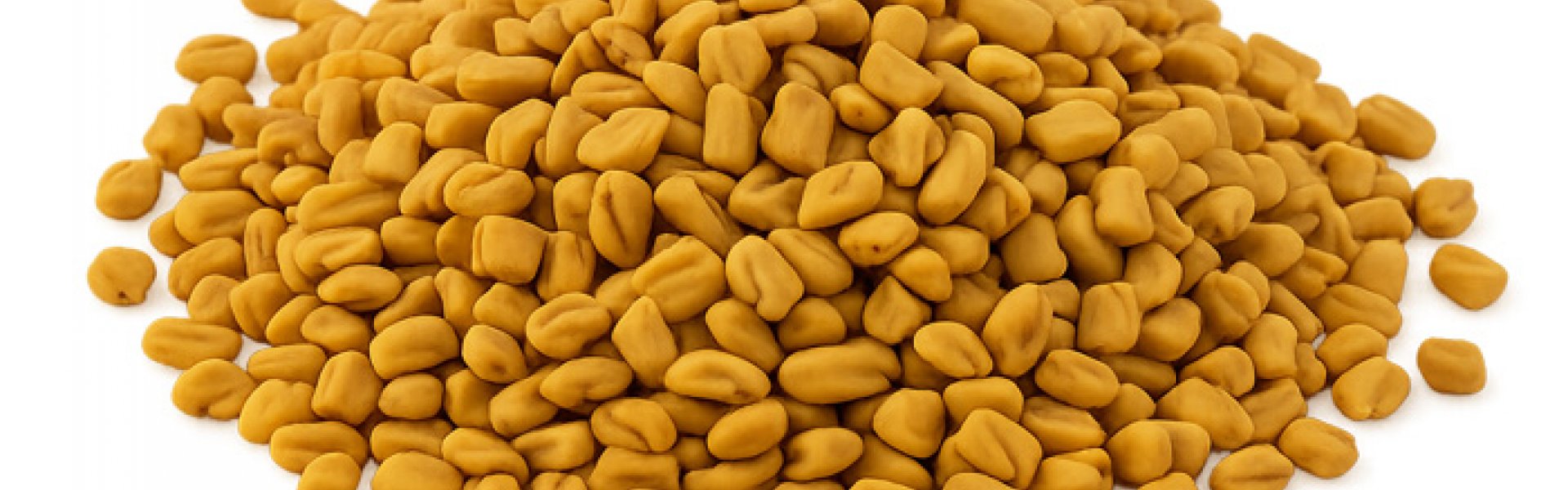 Fenugreek