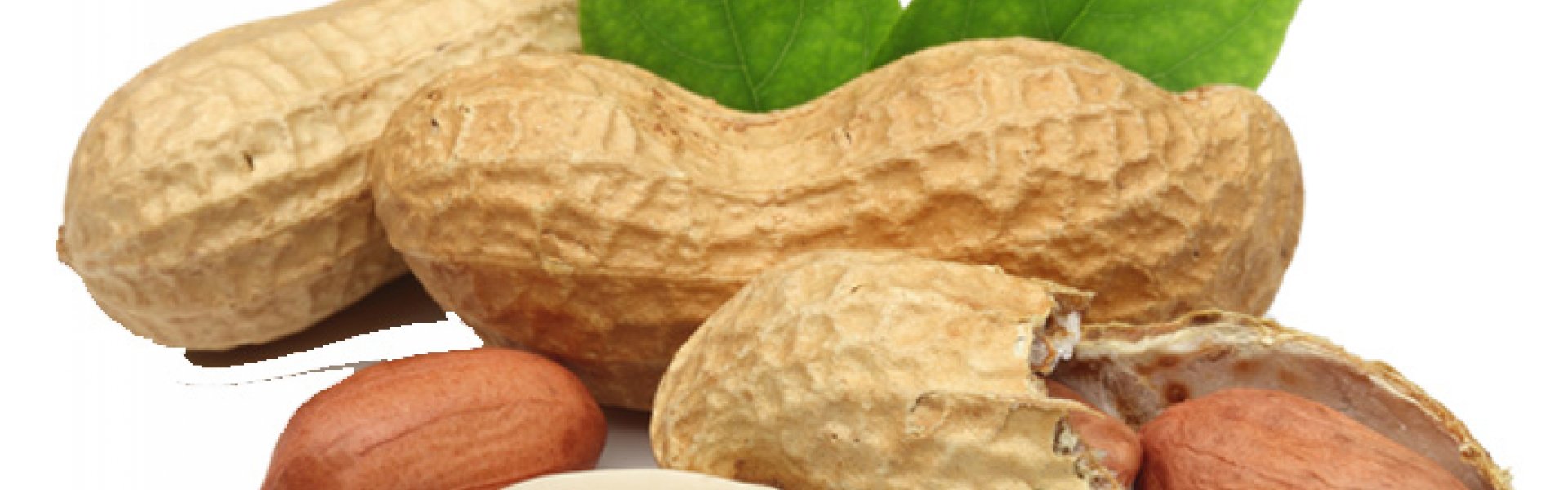 Peanuts (In-Shell / Shelled)