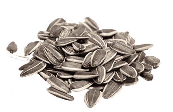 Sunflower Seeds (White – Black)