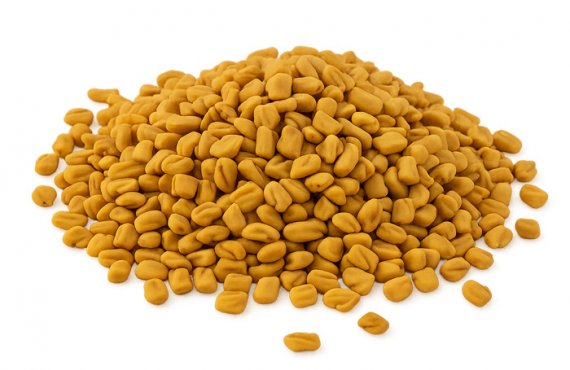 Fenugreek