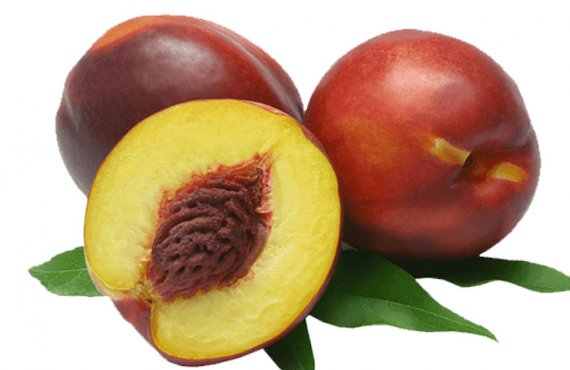 Nectarine