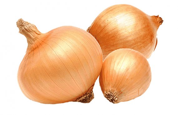 Onion