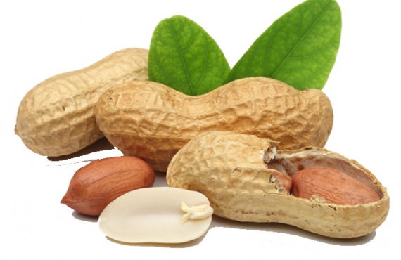 Peanuts (In-Shell / Shelled)